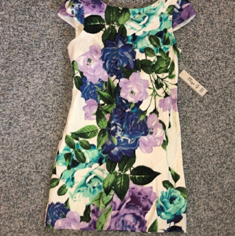 4p Eliza j nwt cotton dress